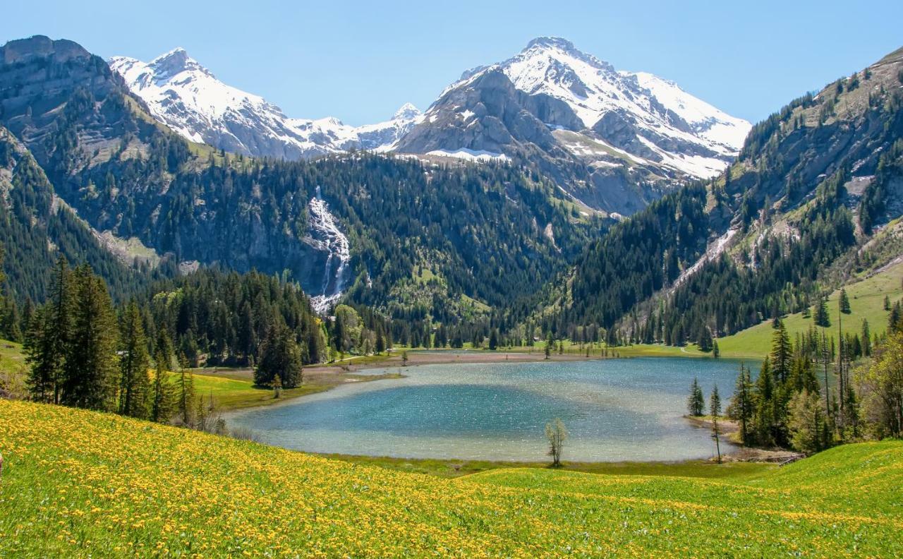Hotel Alpenland Gstaad Zewnętrze zdjęcie